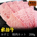 焼肉 肉 希少部位 飛騨牛 みすじ 200g 冷凍 ミスジ バーベキュー BBQ キャンプ 焼肉 焼き肉 希少部位 おもてなし グルメ お取り寄せグルメ 肉 食材 1