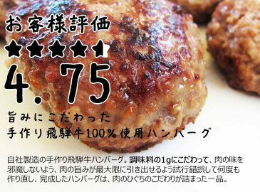 飛騨牛 生 ハンバーグ 120g 肉のひぐちオリジナル飛騨牛100％使用 黒毛和牛 ブランド牛 牛肉 肉 ハンバーグ 生ハンバーグ 煮込みハンバーグ 焼きハンバーグ テレビで紹介されました