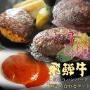 肉のひぐち ハンバーグ 【～3/27 1:59までP5倍】飛騨牛 こだわり ハンバーグ 3種 詰め合わせ セット～3つのしあわせ～ 送料無料 化粧箱入入学 卒業 お礼 ビーフハンバーグ 煮込みハンバーグ 合い挽きハンバーグ 焼くだけ 湯煎 牛肉 肉 豚肉 惣菜 冷凍食品 詰め合わせ 福袋 セット 母の日