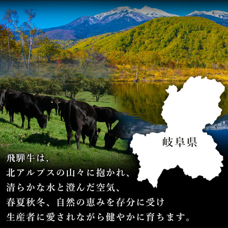 父の日 肉 ギフト 飛騨牛 一口 ステーキ肉 希少部位 食べ比べ 肩ロース クラシタロース シート包み 肉のお重 父の日 おもてなし イチボ ランプ みすじ とも三角 3