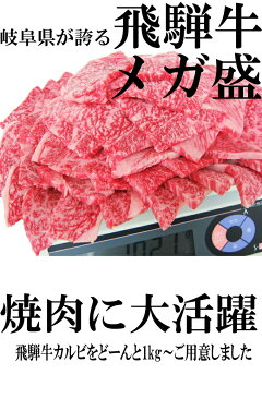 メガ盛り!飛騨牛 カルビ焼肉用1kg（500g×2）牛肉 セット/焼肉/BBQ/焼肉/バーベキュー 食材 材料/焼肉/