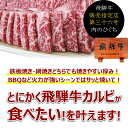 焼肉 肉 飛騨牛 牛肉 カルビ 焼肉用 500g×2メガ盛り 送料無料 合計1kg 1キロ 肉 牛 お肉 1kg まとめ買い カルビ 焼肉 お肉 焼肉セット BBQ バーベキューセット バーベキュー 肉 食材 肉 和牛 黒毛和牛 ギガ盛り テラ盛り