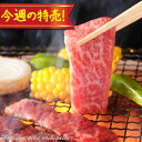 数量限定！！今週の特売！冷凍◆A4等級 飛騨牛 ロース 焼肉用 200g