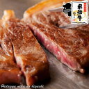 肉 ご自宅使い 飛騨牛 サーロインス