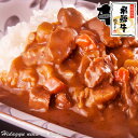 ご当地 グルメ 保存食 飛騨牛 カレー 220g 肉のひぐちオリジナル 岐阜県 国産 ビーフカレー レトルト カレー 常温保存 非常食 取り寄せ 常温保存 惣菜 ソロキャン 豚カレー スパイス お取り寄…