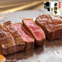 肉 ご自宅使い 飛騨牛 サーロインステーキ 400g（約200g×2枚） 送料無料 ステーキソース付 黒毛和牛 ブランド牛 牛肉 和牛 肉 国産牛 ステーキ肉 霜降り おいしいお肉 BBQ 鉄板 網 炭 焼肉 バーベキュー キャンプ バレンタイン