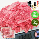 焼肉 肉 飛騨牛 牛肉 カルビ 焼肉用 500g×2メガ盛り