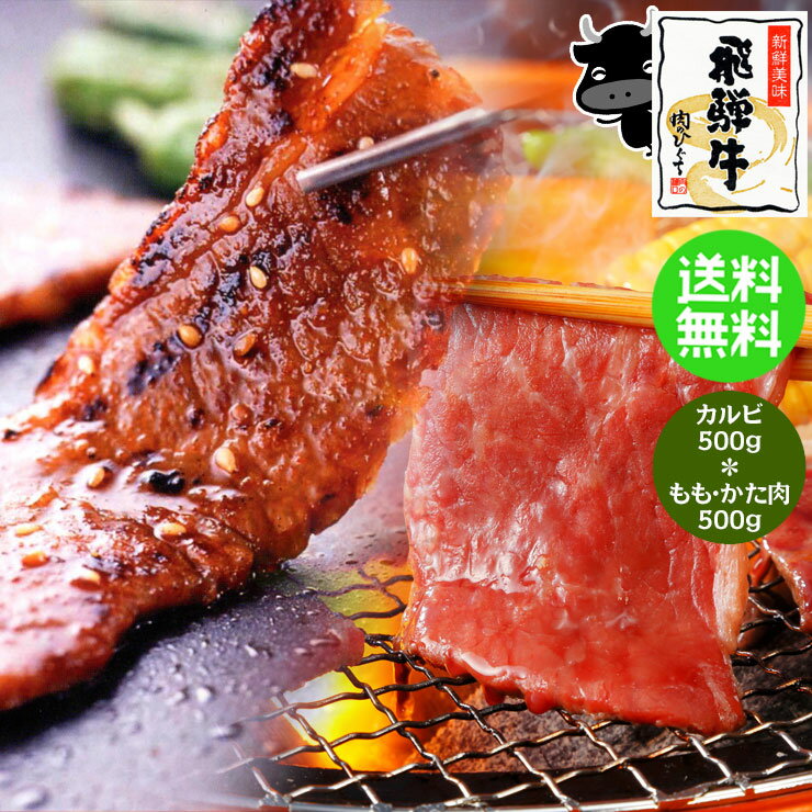 焼肉 《メガ盛り》 飛騨牛 カルビ 500g ＆ もも・かた（赤身） 500g 合計 1kg 焼肉用 ...