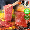 焼肉 《メガ盛り》 飛騨牛 かたロース 500g & もも・かた 500g 合計1kg 焼肉用 送料無料 ハーフ&ハーフ 1キロ BBQ ク…