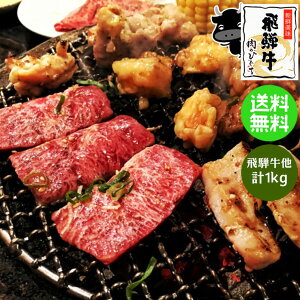 飛騨牛・国産豚肉バーベキューセット1kg／肉のひぐち
