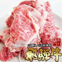 飛騨牛 切り落とし肉 350g （冷凍） 訳あり お試し 【2パック以上購入で 送料無料 】国産 牛肉 切り落とし こま切れ 黒毛和牛 ブランド牛 肉 和牛 お値打ち ブランド 食材 生肉 焼肉 BBQ ランキング1位 不揃い