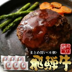 ハンバーグ ギフト 飛騨牛 ハンバーグ 120g×6個 送料無料 ギフト箱入 よ～いドン！にて紹介！母の日 ギフト 黒毛和牛 ハンバーグ 牛 肉 お肉 セット 詰め合わせ お取り寄せグルメ 肉 ギフト 内祝 誕生日 プレゼント ひぐちのギフト