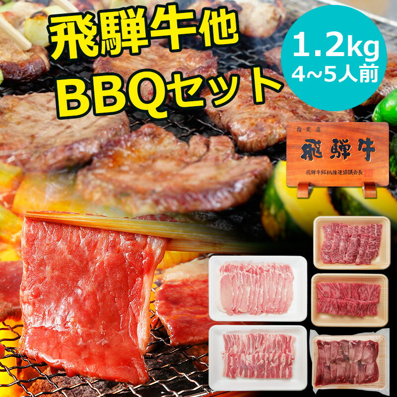 【年内最終出荷12月26日まで】バーベキュー 肉 焼肉 セット 飛騨牛入 1.2kgセット 約4〜5人用 飛騨牛 カルビ 200g もも・かた肉 200g 国産豚 ばら肉 300g ロース肉 300g 厚切り牛タン芯200g 食材セット 焼肉セット BBQセット 牛タン 福袋 詰め合わせ セール