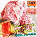 【～4/27 9:59 5％オフクーポン配布】牛肉 肉 お試し 訳あり 飛騨牛 切り落とし 350g ...