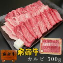 肉のひぐち 焼き肉 飛騨牛 カルビ 焼肉用 500g カルビ 肉 ブランド 和牛 黒毛和牛 ブランド牛 牛肉 肉 高級 定番 BBQ バーベキュー 焼肉 おうち焼肉 おうち焼き肉 キャンプ