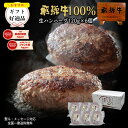 【よ~いドン!で紹介されました】 飛騨牛 ハンバーグ 120g×6個 送料無料 ハンバーグ 肉 ギフト 黒毛和牛 ハンバーグ 牛 肉 お肉 セット 詰め合わせ お取り寄せグルメ お礼 お祝い 内祝 誕生日 プレゼント 御中元 お中元 ギフト 敬老の日