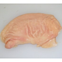 商品情報名称豚ガツボイル (豚肚)1kg入り産地名国産保存方法-18度以下で保存してください[冷凍]豚ガツボイル（豚肚）1kg入り 豚ガツボイルは脂少なく.たんぱく質多く含まれる 2