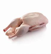 [冷凍]鴨（無頭）1.8kg入り