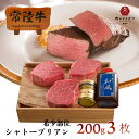 母の日 肉 ステーキ プレゼント 超希少部位 高級 シャトーブリアン A5 ステーキ フィレ ヒレ ヒレ肉 ギフト 父 誕生日プレゼント 食べ物 内祝い 常陸牛 3枚入り 600g 黒毛和牛 結婚 出産祝い 就職 転勤 退職 卒業 男性 女性 食品