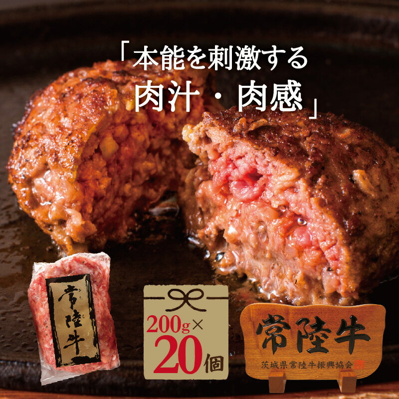 肉のイイジマ 常陸牛 ハンバーグ 200g×20個入り 送料無料 無添加 お試し 牛肉 ブランド牛 国産 和牛 自宅用