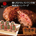 父の日 ハンバーグ 肉 無添加 ギフト 母の日 遅れてごめんね 常陸牛 100%使用 100g×6個入り 冷凍 誕生日プレゼント 食べ物 内祝い 出産祝い お返...