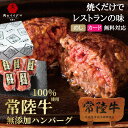 母の日 プレゼント 内祝い 4000円 お肉 ギフト お返し ハンバーグ 無添加 常陸牛 100 使用 100g × 5個 誕生日プレゼント 女性 50代 食べ物 牛肉 黒毛和牛 和牛 誕生日 結婚内祝い 出産内祝い 就職 入学 ハンバーグギフト 箱入り 男性 女性 高級 冷凍 肉ギフト あす楽