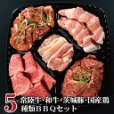 肉のイイジマ 焼き肉 バーベキュー bbq 焼肉 セット 送料無料 イイジマ レギュラー 5種 計850g 3～4人前 常陸牛 焼肉 肩バラ 和牛 味付 国産 若鶏 豚 食べ比べ お花見 パーティ 自宅用 一人暮らし