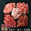 肉のイイジマ 焼き肉 バーベキュー bbq 焼肉 セット 特選 3～4人前 830g 食べ比べ 常陸牛 カルビ 和牛味付 茨城豚ロース お花見 パーティ 自宅用 一人暮らし