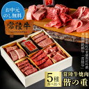 1万円 内祝い お中元 夏ギフト 御中元 焼肉 セット 肉 グルメ ギフト 暑中見舞い 食べ比べ 内祝い 10000円 出産祝い お返し 常陸牛 5種 詰め合わせ 偕の重 お肉重 2~3人前 400g 誕生日プレゼント 母親 父親 食べ物 食品 牛肉 高級 結婚 贈答 冷凍 お母さん お父さん