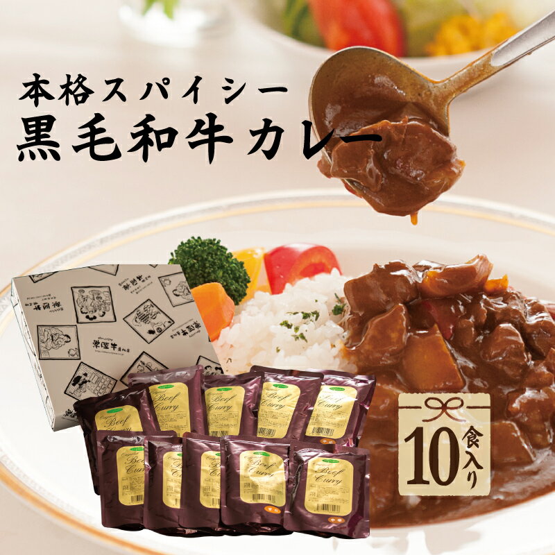 バレンタイン 2021 ギフト 肉 レトルト カレー 10個入り グルメ 送料無料 黒毛和牛カレー お肉屋さんが造る 肉のイイジマ 甘口 中辛 辛口 内祝い お祝い お返し 結婚 出産 誕生日 名入れ メッセージカード