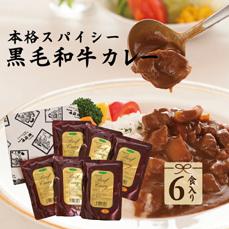 お肉が美味しい本格スパイシーなレトルトカレーギフト 6個入り 黒毛和牛｜入学 卒業 内祝い お返し 食品 国産 甘口 中辛 辛口 結婚 出産祝い 誕生日プレゼント