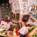 まだ間に合う 母の日 ギフト プレゼント おつまみ おつまみセット お返し ハム 詰め合わせ グルメギフト セット 5種｜内祝い 誕生日プレゼント 食べ物 個包装 ハンバーグ ソーセージ 金賞 iffa…