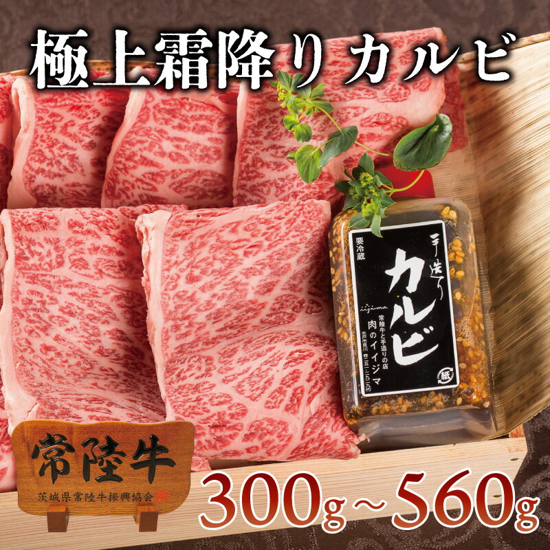 肉のイイジマ 焼き肉 父の日 肉 肉ギフト 父の日ギフト ギフト プレゼント ギフト 内祝い お返し 1万円 焼肉 焼き肉 セット 霜降り カルビ 常陸牛 A5 焼肉セット 焼き肉セット 自家製タレ付き 食品 贈答 高級 食べ物 ブランド牛 結婚 出産祝い 誕生日プレゼント 食べ物 男性 女性 10000円 あす楽