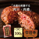 肉のイイジマ ハンバーグ 常陸牛100%ハンバーグ 100g 単品 自宅用 お試し 冷凍 牛肉 ブランド牛 和牛