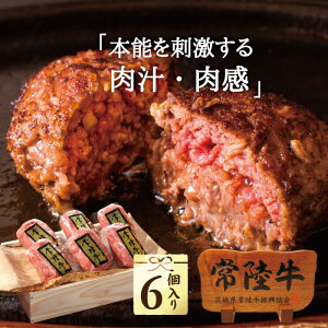 【木箱】 常陸牛 ハンバーグ 【100g×6個】【送料無料】 バレンタイン 2021 ハート ギフト 冷凍 お取り寄せグルメ 高級 食品 グルメ