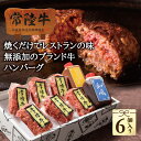 ハンバーグ ギフト お歳暮 肉 プレゼント 常陸牛 無添加 100g×6個入り タレ付き｜ 内祝い お返し 高級 食品 セット お祝い 誕生日プレゼント 出産祝い 結婚 人気 おすすめ