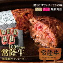 母の日 プレゼント 内祝い 4000円 お肉 ギフト お返し ハンバーグ 無添加 常陸牛 100%使用 100g × 5個 誕生日プレゼ…