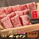 肉のイイジマ 焼き肉 お肉 ギフト 焼肉 常陸牛 A5 霜降り サーロイン 300g 焼肉セット 内祝い お返し 食品 焼き冷凍 結婚 出産祝い 誕生日プレゼント