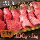 bbq バーベキュー 常陸牛 焼肉セット A5 霜降りカルビ 霜降りもも 200g 焼き肉 在宅応援セット 自宅用 一人暮らし