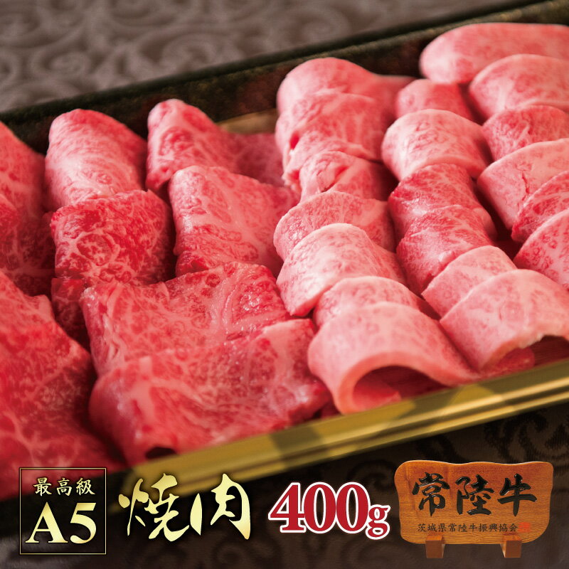 bbq バーベキュー 焼肉セット 送料無料 常陸牛 A5 霜降り カルビ 赤身もも 400g 焼き肉 在宅応援セット おうち時間 自宅用