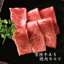 bbq バーベキュー セット 肉 常陸牛 A5 焼肉 3品盛り合わせ 霜降りカルビ サーロイン もも 黒毛和牛 食べ比べセット 肉 おうち時間 在宅応援 自宅用 一人暮らし 2