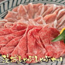 肉のイイジマ ハンバーグ しゃぶしゃぶ 黒毛和牛 常陸牛 霜降り肩ロース ローズポーク しゃぶしゃぶセット 200g 茨城 ブランド 豚 肉 自宅用 茨城 水戸 残暑見舞い 一人暮らし