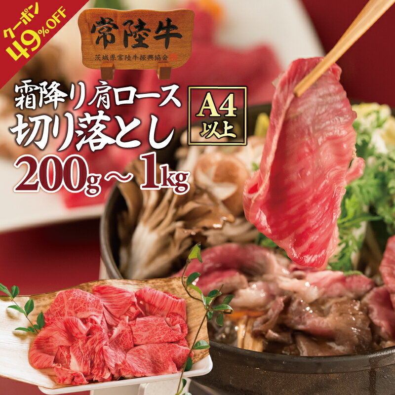 【49％OFFクーポン！11/28 10時～ 】お