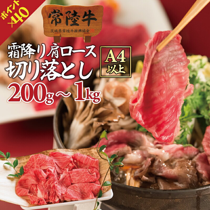 【ポイント40倍！】肉 牛肉 焼肉 すき焼き 切り落とし 常陸牛 霜降り 肩ロース スライス 鍋 食べ物 小分け 食べ物 ギフト しゃぶしゃぶ 冷凍 グルメ 茨城 食品 誕生日プレゼント 喜ばれる 送料無料 お歳暮