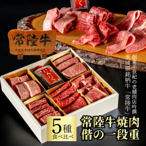 ホワイトデー 甘くない ギフト プレゼント 焼肉 常陸牛 5種 詰め合わせ お肉重 2～3人前 400g 一段重 人気 おすすめ 内祝い お返し 出産 高級 食べ比べ 食品 肉おせち お祝 結婚 誕生日プレゼント 偕の重 あす楽