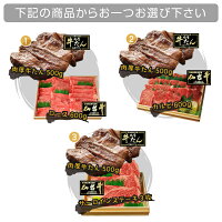下記の商品からお一つお選び下さい
