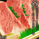 仙台牛 最高級 A5ランク サーロインステーキ 200〜220g×9枚 焼き方レシピ付 
