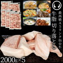 仙台牛 A5ランク 牛脂 業務用 切り落とし 10000g (2000gx5) 