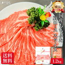 特撰 国産 もちぶた 肩ロース スライス 1.2kg 豚肩ロース 豚肉 しゃぶしゃぶ 豚 しゃぶ 用 ぶた肉 うす切り 焼肉 焼き肉 小分け メガ盛り 鍋 お肉 肉 ギフト 内祝い お返し プレゼント 5000円 高級 誕生日 送料無料 食品 食べ物 冷凍 早割 母の日 父の日 入学祝い お礼