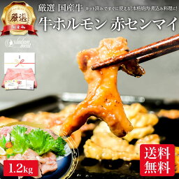 国産 牛ホルモン 焼肉 もつ鍋 アカセン 1.2kg ホルモン ギアラ ギャラ 赤 センマイ ホルモン焼き ホルモン鍋 肉屋 お肉 肉 ギフト プレゼント おうち 焼き肉 用 小分け メガ盛り 送料無料 牛 高級 食べ物 食品 冷凍 誕生日 内祝い お返し 早割 母の日 御礼 お礼 父の日